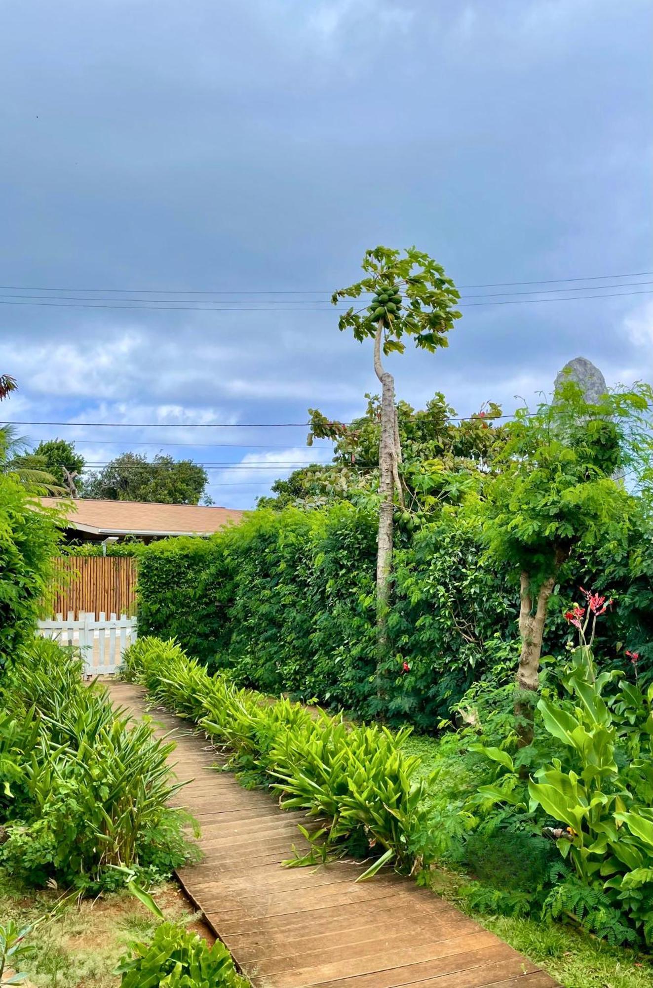 Hotel Casa Do Anjo Fernando de Noronha Zewnętrze zdjęcie